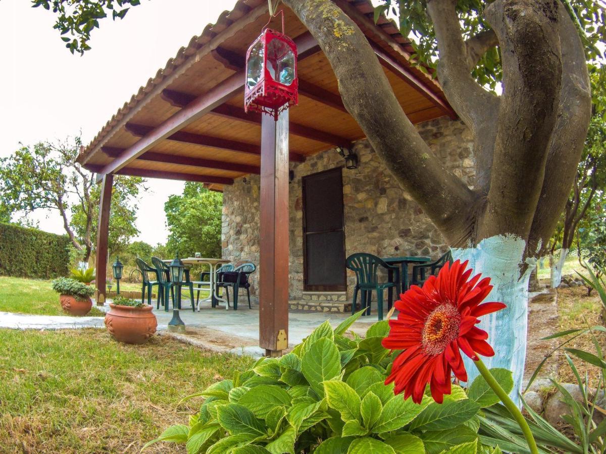 Villa Patras Stonehouse With Large Yard - Πέτρινο Σπίτι Με Αυλή Paralía Exterior foto