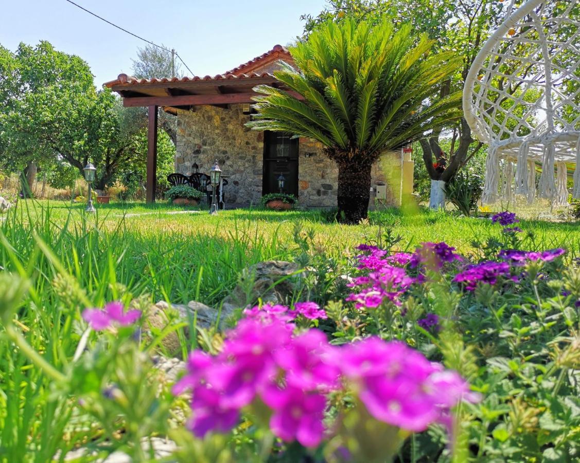 Villa Patras Stonehouse With Large Yard - Πέτρινο Σπίτι Με Αυλή Paralía Exterior foto